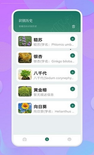 植物达人