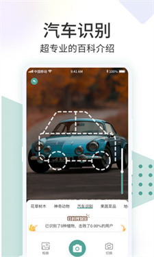 识花君拍照识花